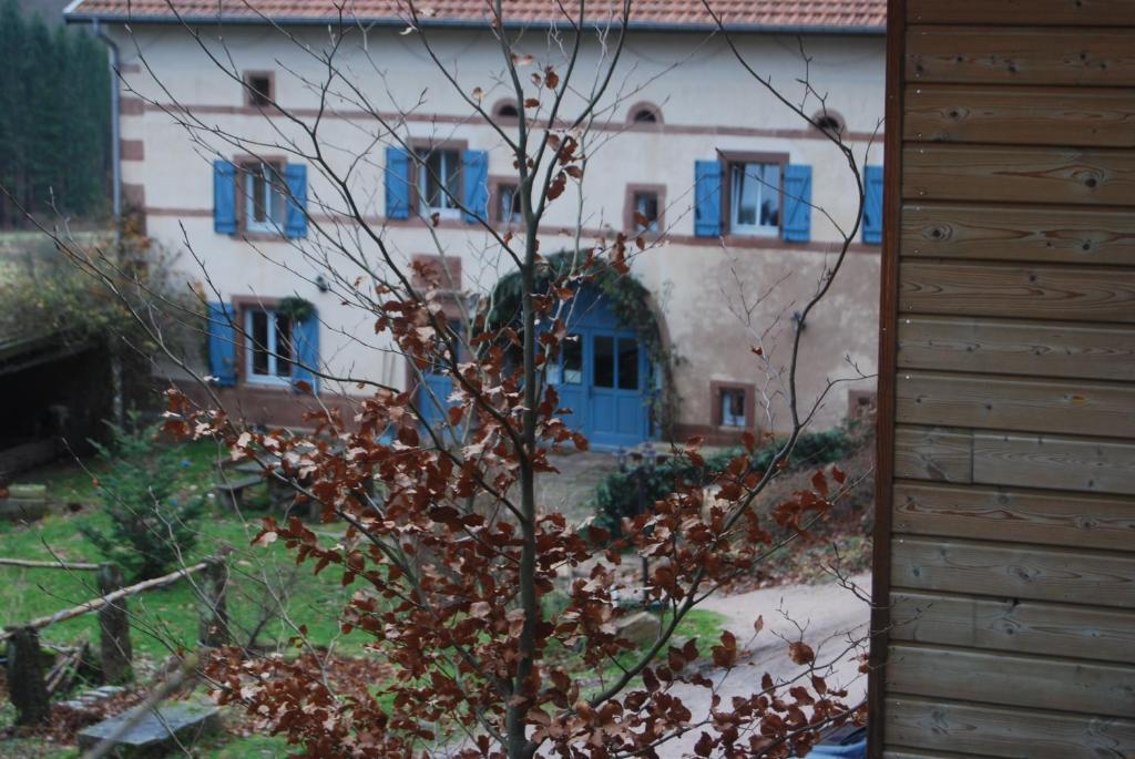Готель Auberge Du Ruxelier Chenimenil Екстер'єр фото
